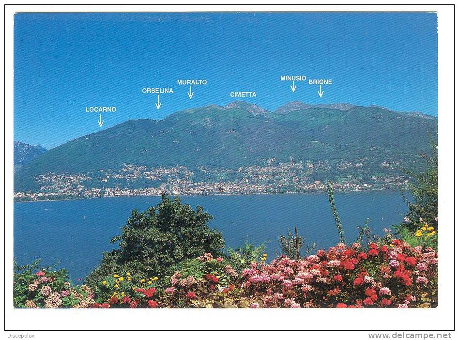 C1297 Locarno - Panorama - Orselina - Muralto - Cimetta - Minusio - Brione / Non Viaggiata - Brione Sopra Minusio