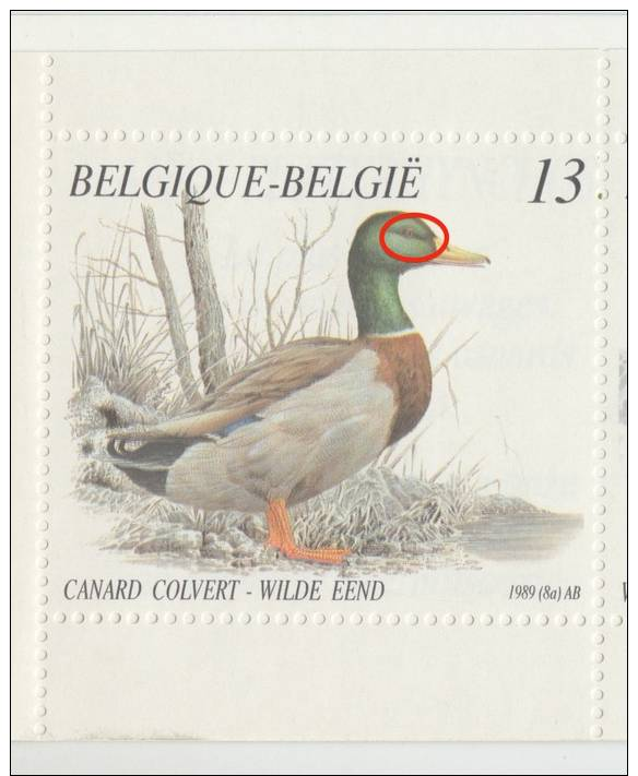 B19 V1 + V2 ** MNH CANARD COLVERT AVEUGLE + QUEUE DOUBLEE / BLINDE WILDE EEND + GESPLETEN PIJLSTAART - Other & Unclassified