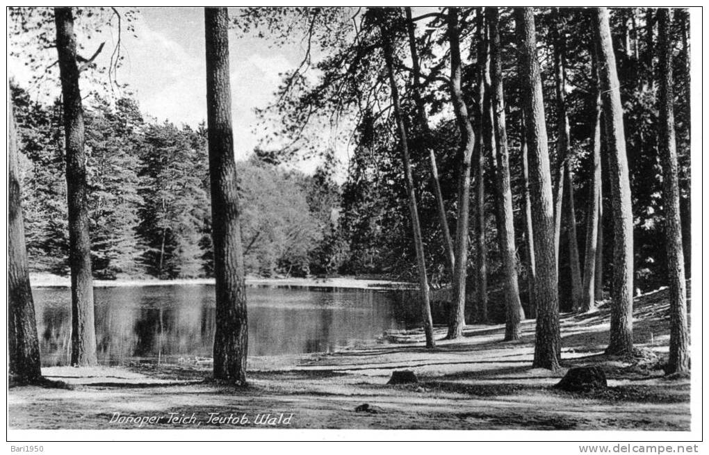 Ansichtskarten " Danoper Teich, Teutob Wald " - Detmold