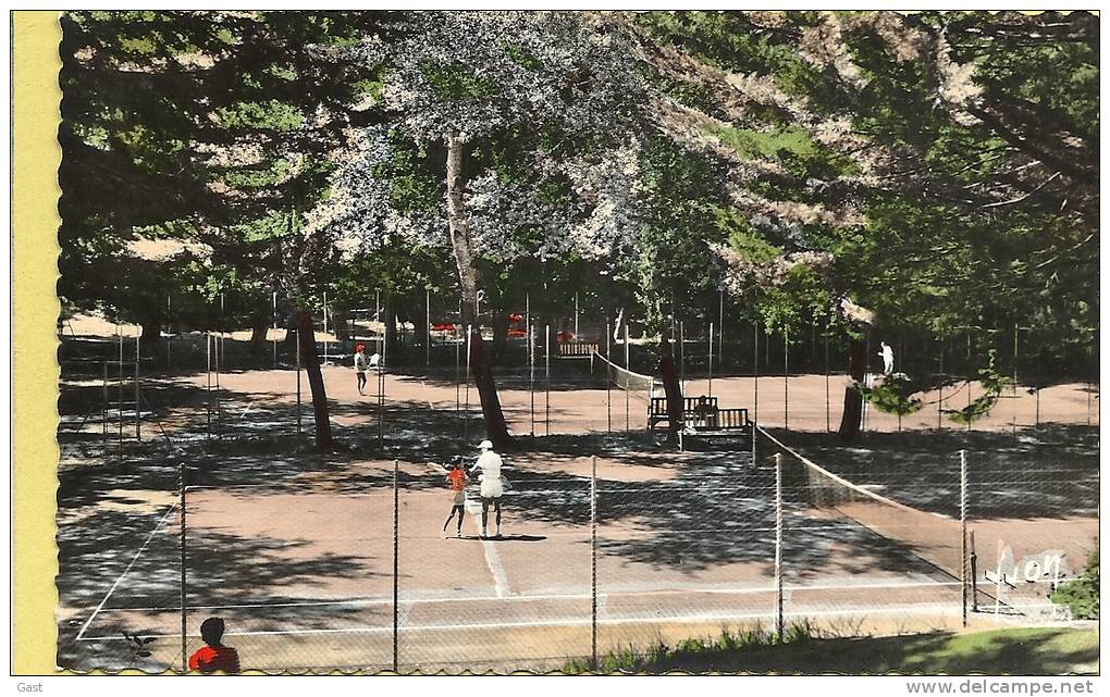 44   LE  POULIGUEN   LES  TENNIS  DANS  LES  SOUS  BOIS - Le Pouliguen