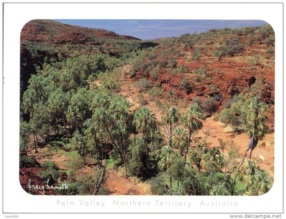 (129) Australia - Northern Territory - Palm Valley - Sin Clasificación