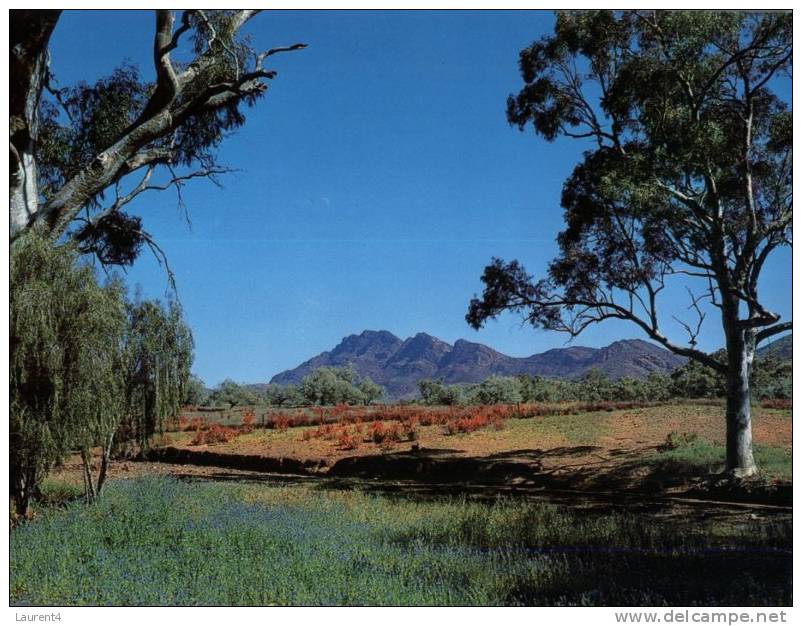 (315) Australia - South Australia - Elder Range - Adelaide