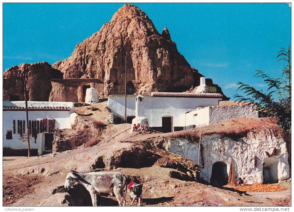 Cp , ESPAGNE , GUADIX , Vue De Grottes De Purullena - Granada
