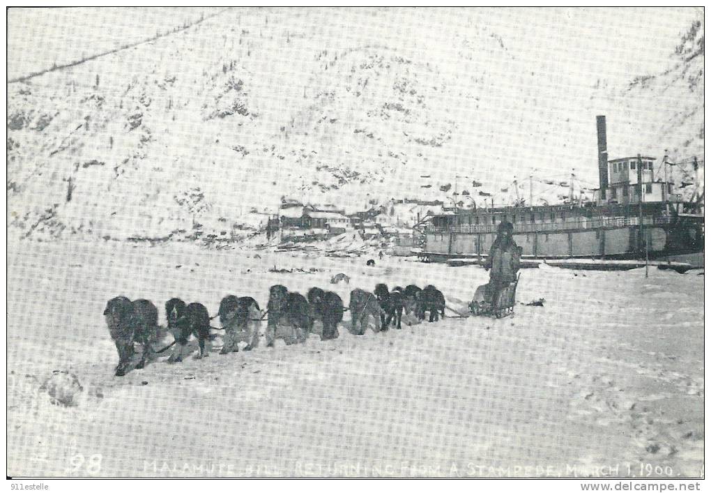 MALAMUTE BIL RETURNING FROM A STAMPEDE MARCH 1.1900 ( Voir Verso ) - Yukon