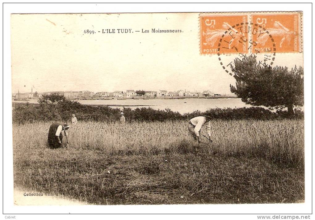 L'Ile Tudy. - Les Moissonneurs - Ile Tudy