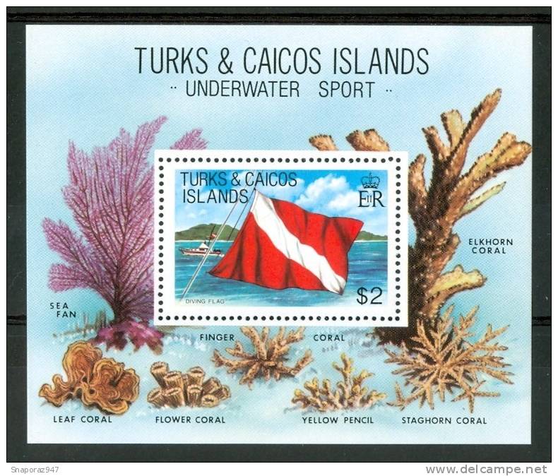 1981 Turks E Caicos Bandiere Flags Drapeaux Coralli Corals Coraux Block MNH** Po120 - Plongée