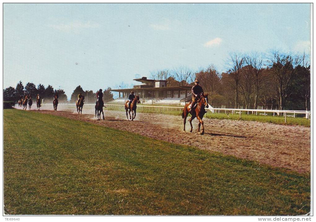 CPSM NORT SUR ERDRE (44): L' Hippodrome De Beaumont - Nort Sur Erdre