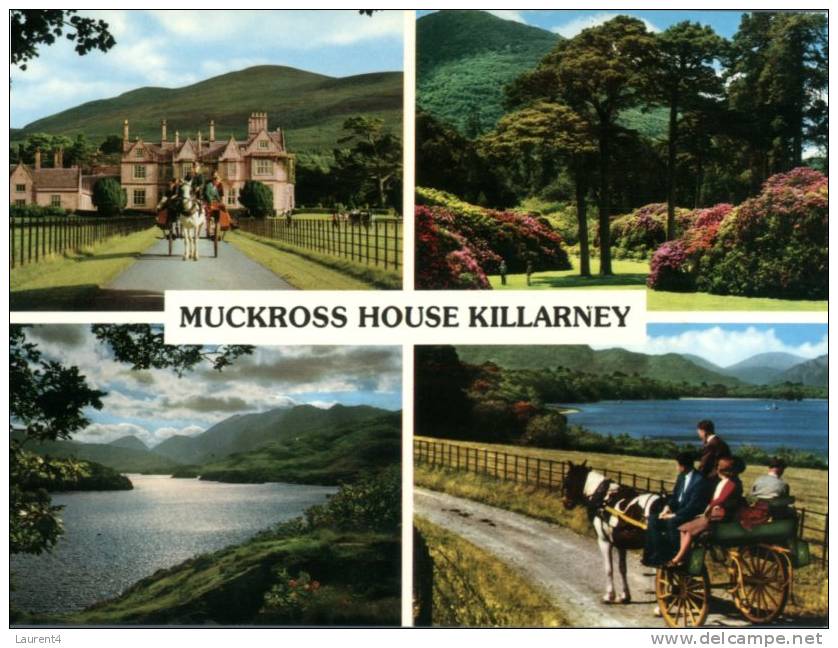 (010) Ireland - Killarney - Kilkenny