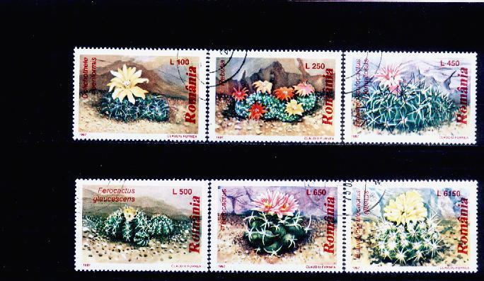 Roumanie Yv.no.4389/94 Obliteres,serie Complete - Cactus