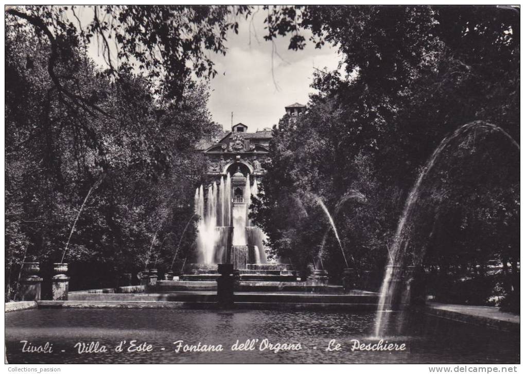 Cp , ITALIE , TIVOLI , Villa D'Este , Fontaine De L'Orgue , Les Bassins - Tivoli