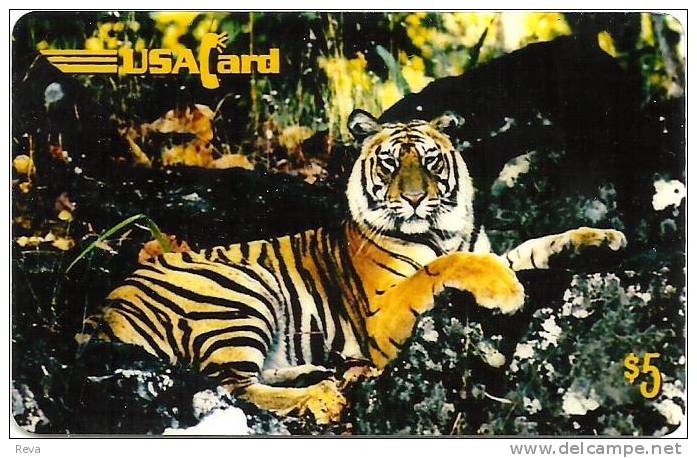 USA $5 TIGER CAT ANIMAL ANIMALS PIN MINT IN FOLDER READ DESCRIPTION !!! - Other & Unclassified