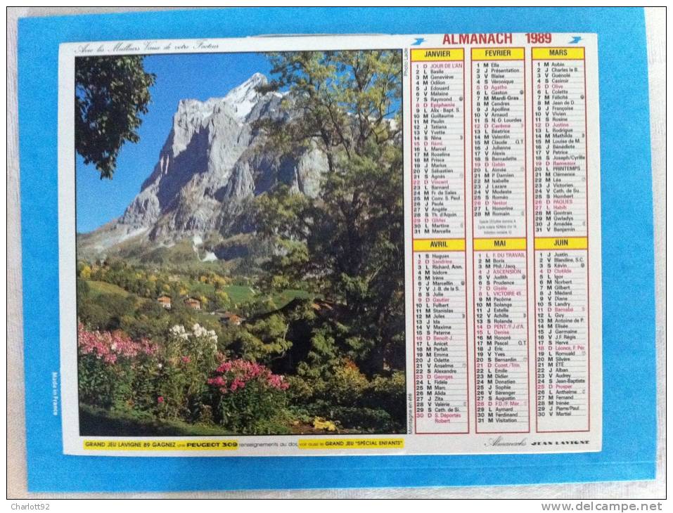 Calendrier Grand Format MONTAGNE EN ETE CHAMOIS - Formato Grande : 1981-90