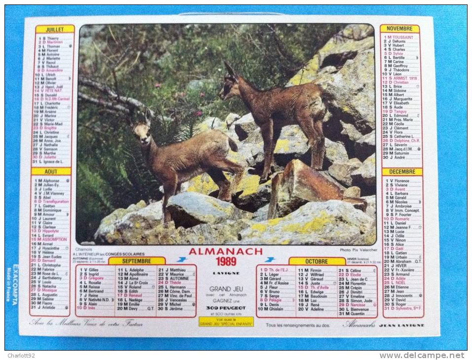 Calendrier Grand Format MONTAGNE EN ETE CHAMOIS - Formato Grande : 1981-90