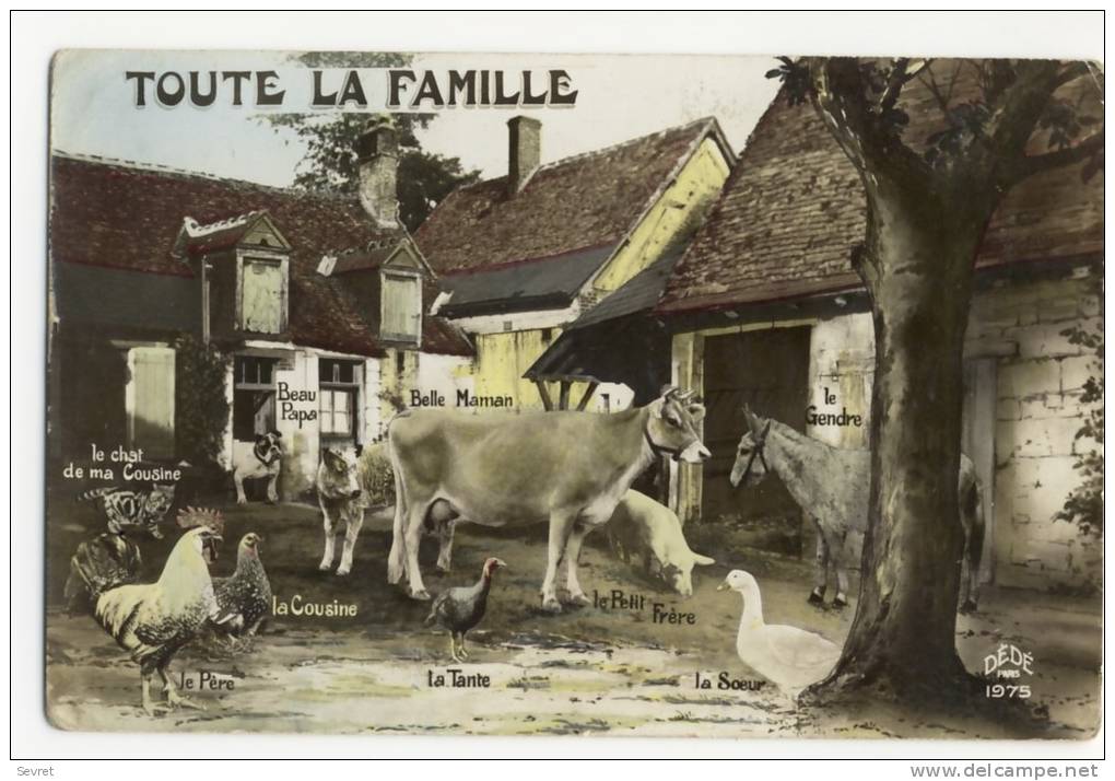 TOUTE LA FAMILLE. - Farms