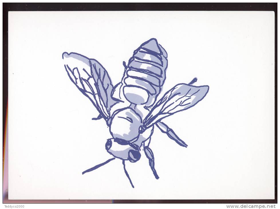 Bee Api - Insectes