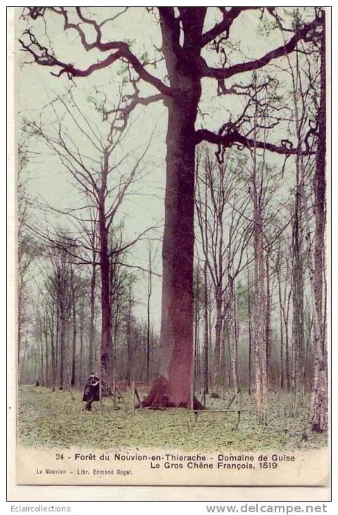 Le Nouvion En Thiérache    Le Gros Chêne    Arbre Nommé - Altri & Non Classificati