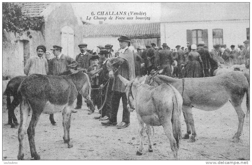 85 CHALLANS LE CHAMP DE FOIRE AUX BOURRINS - Challans