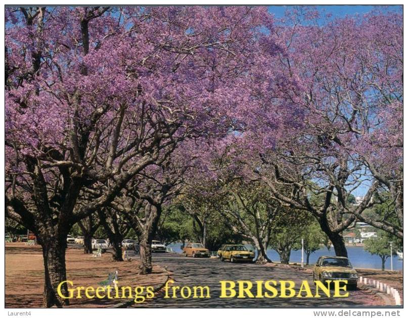 (900) Australia - Queensland - Brisbane Jacaranda Trees - Brisbane
