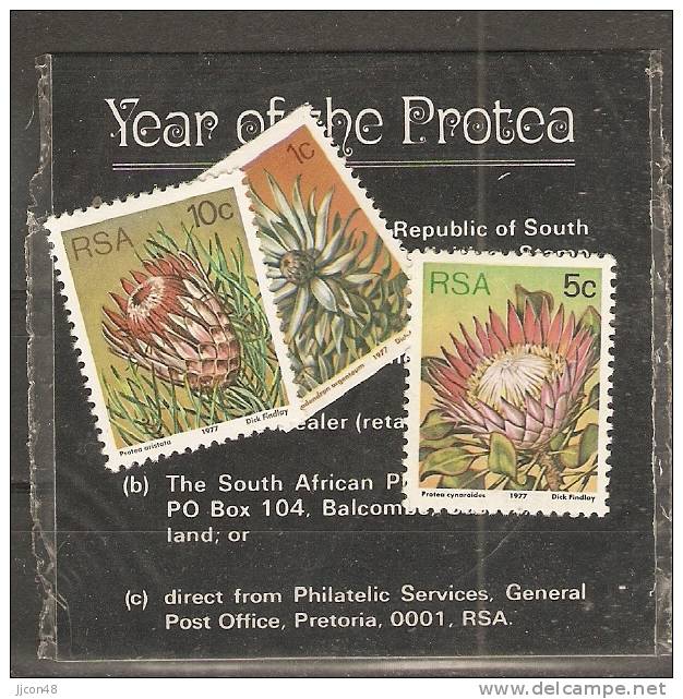 South Africa 1977  Flowers (**) Small Presentation Pack ?? - Usati