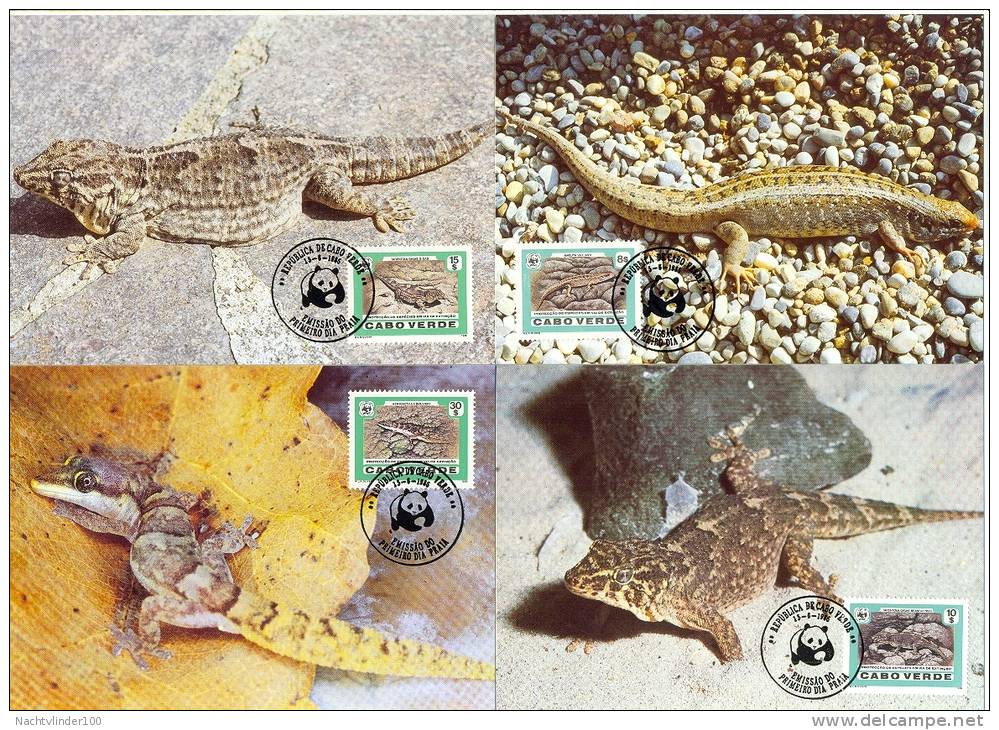 Nbh038mb WWF REPTIELEN HAGEDIS DESERT ISLAND LIZARD REPTILES CABO VERDE 1986 MAX - Maximum Cards