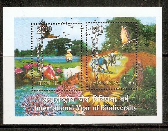 India 2010 International Year Of Biodiversity Animals Owl Eagle Nature M/s MNH Inde Indien - Milieubescherming & Klimaat