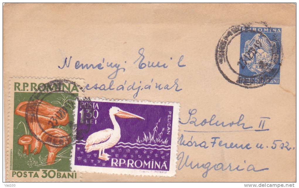 MUSHROOMS,PELICANS,LILLIPUT COVER,1959,STATIONERY, ENTIER POSTAL, SENT TO MAIL, ROMANIA. - Pelikane