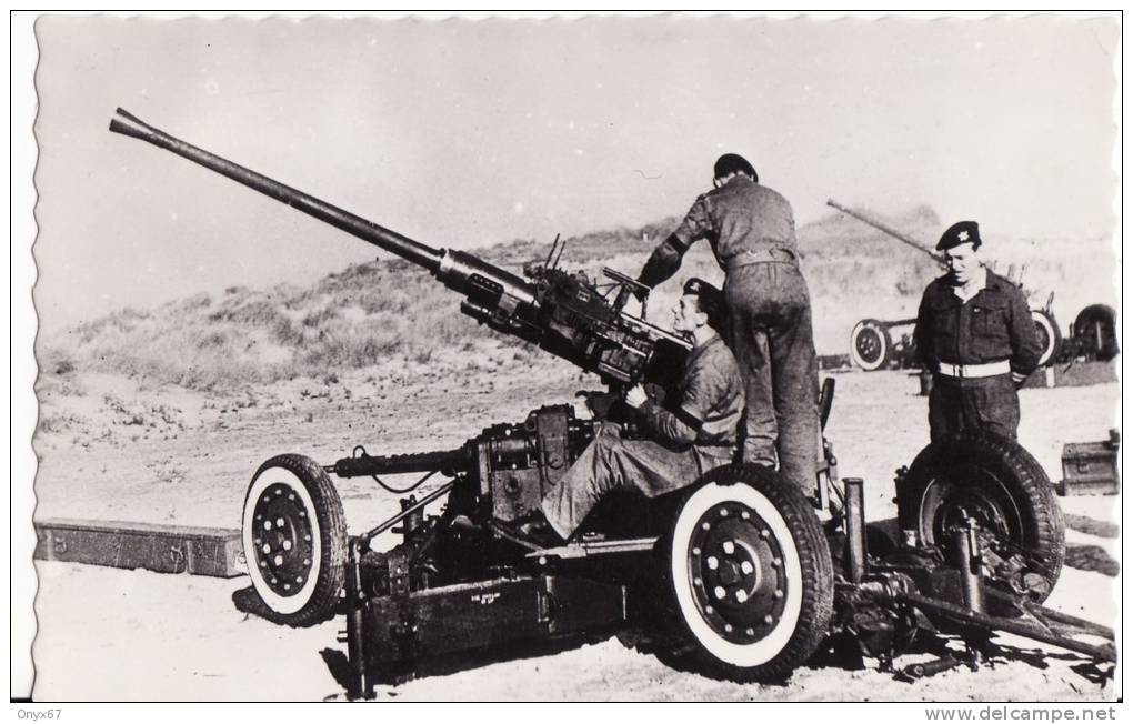 Carte Postale Militaire - CANON 40 M/m En Batterie - 2 SCANS - ARMEE BELGE - BELGIQUE - - Matériel