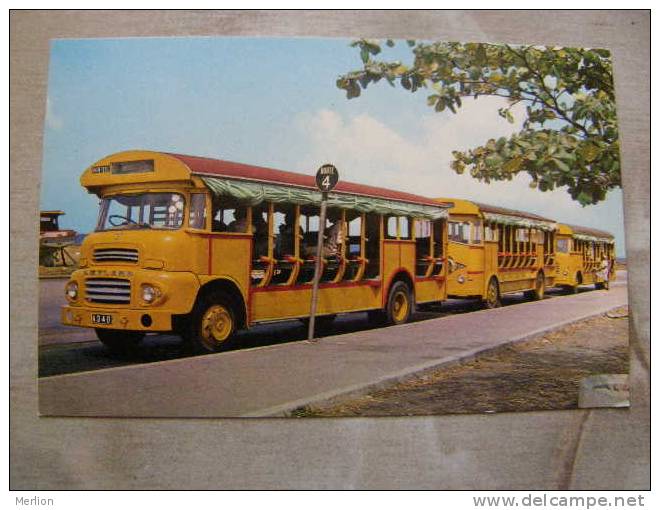 Buses - Barbados - W.I.  West Indies  D77808 - Barbades