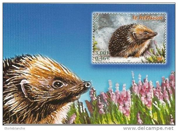 CPM France 2001 La Poste, Série Animaux Des Bois,  Hérisson / Hedgehog / Igel / Timbre Illustré - Timbres (représentations)