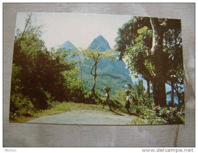 Twin Pitons - St. Lucia  -  West Indies - W.I.  D77828 - St. Lucia