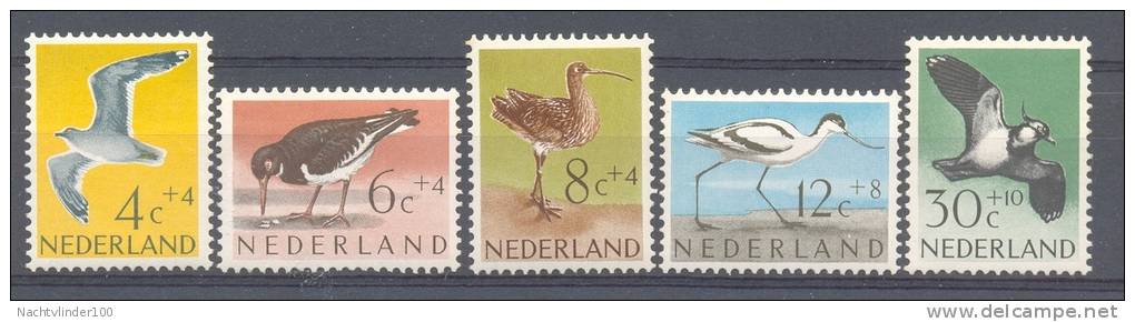 MR385 FAUNA VOGELS BIRDS VÖGEL AVES OISEAUX NEDERLAND NVPH 752-756 1961 PF/MNH # - Collections, Lots & Séries