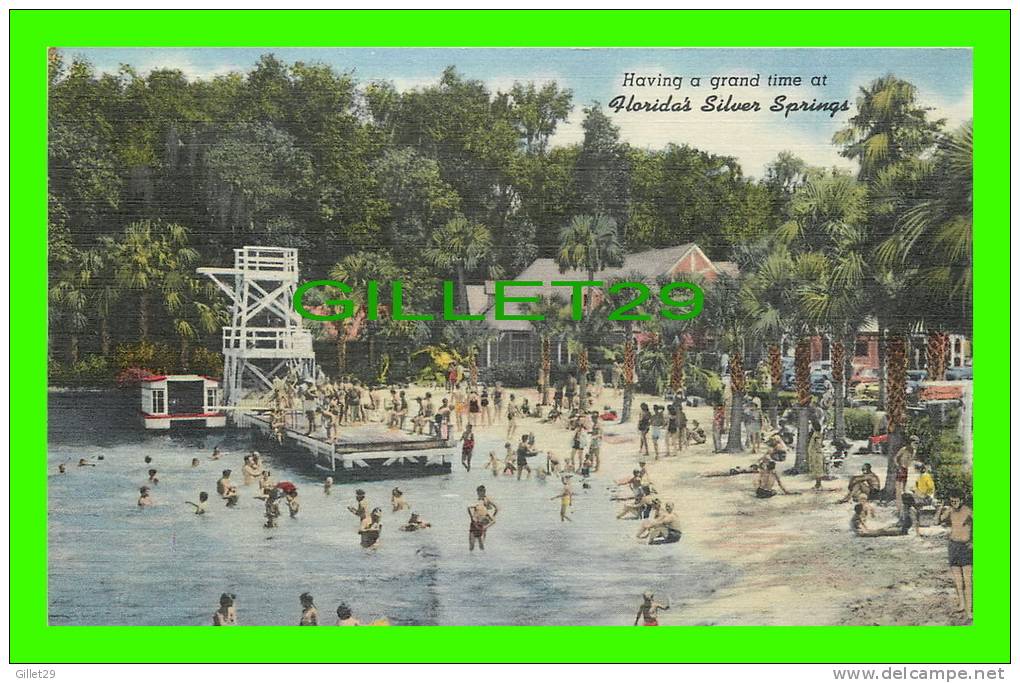 SILVER SPRINGS, FL - THE BEACH ANIMATED - PHOTO BY MOZERT - - Silver Springs