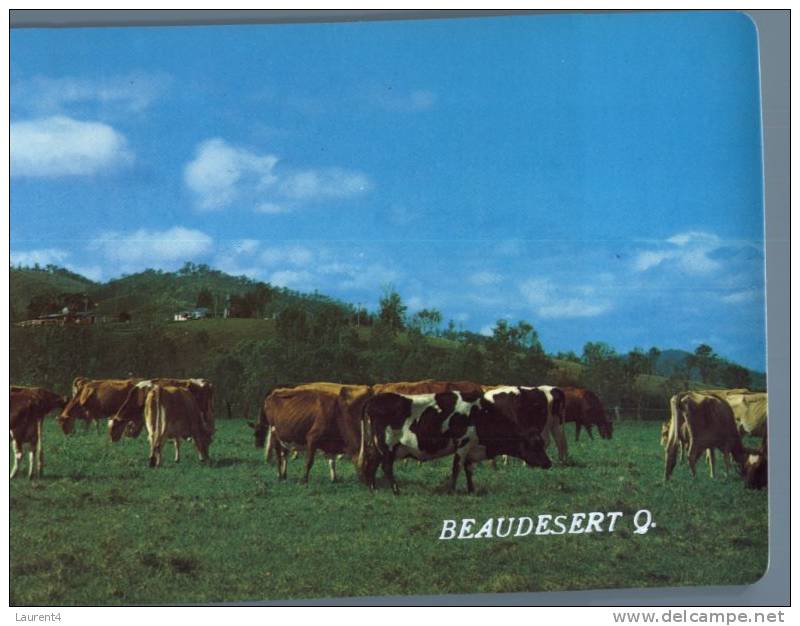 116) Australia - QLD - Beaudesert With Cows - Autres & Non Classés
