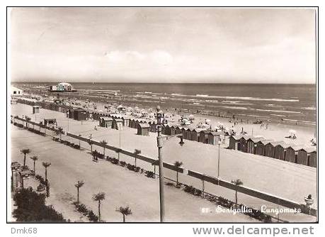 SENIGALLIA ( ANCONA ) LUNGOMARE - 1954 - Senigallia