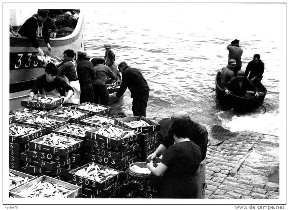 44 LA TURBALLE  CASIERS DE PECHE A LA SARDINE - La Turballe