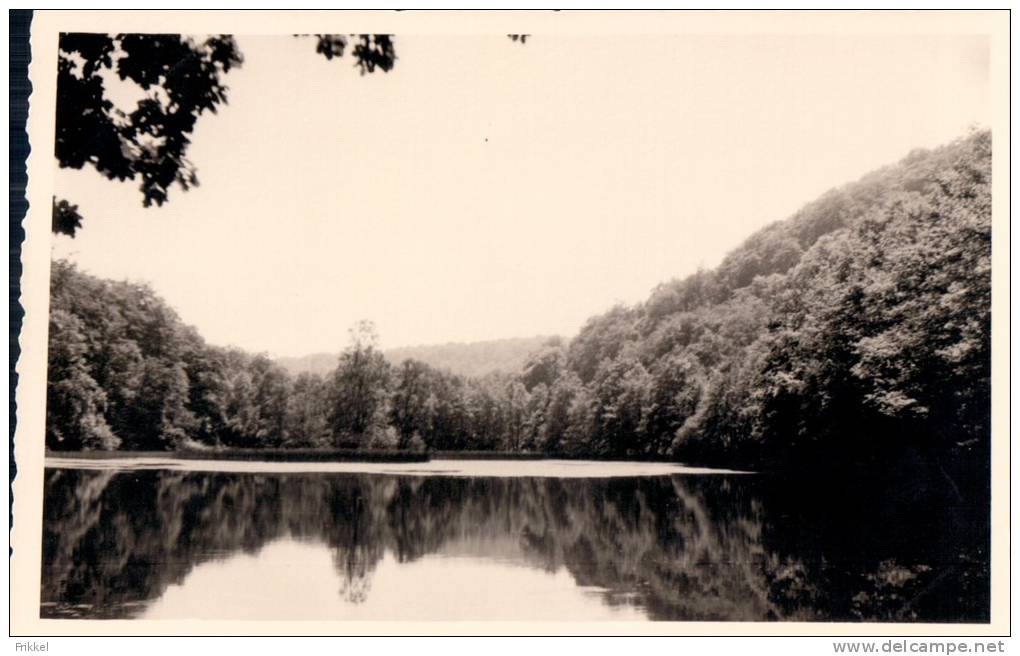 Fotokaart Carte Photo Mirwart Etang St Roch - Saint-Hubert