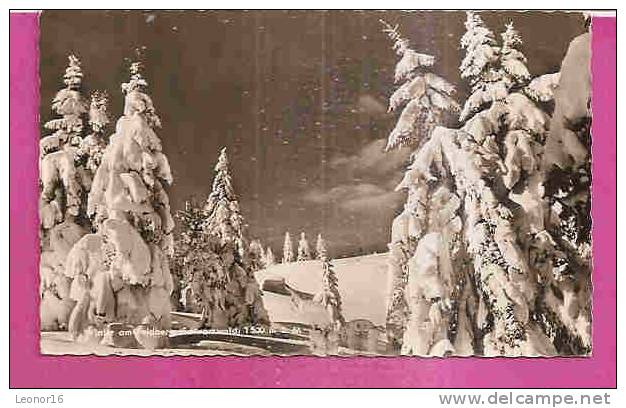 FELDBERG   -    * IM HERRLICHEM WINTER *    -  Verlag : Erwin BURDA     N°21/106 - Feldberg