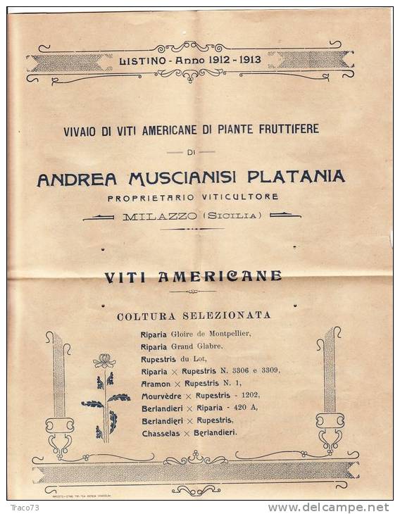 MILAZZO / CATANIA  17.2.1913 - Cover_ Lettera Pubbl. Con Listino " Andrea MUSCIANISI PLATANI - Olii_Vini -" - Cent. 2 - Reclame