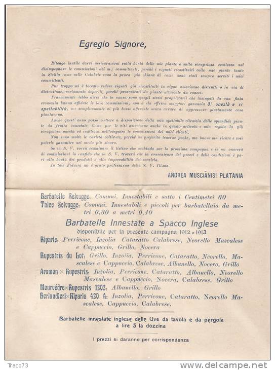 MILAZZO / CATANIA  17.2.1913 - Cover_ Lettera Pubbl. Con Listino " Andrea MUSCIANISI PLATANI - Olii_Vini -" - Cent. 2 - Reclame