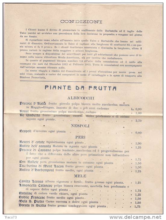 MILAZZO / CATANIA  17.2.1913 - Cover_ Lettera Pubbl. Con Listino " Andrea MUSCIANISI PLATANI - Olii_Vini -" - Cent. 2 - Publicité
