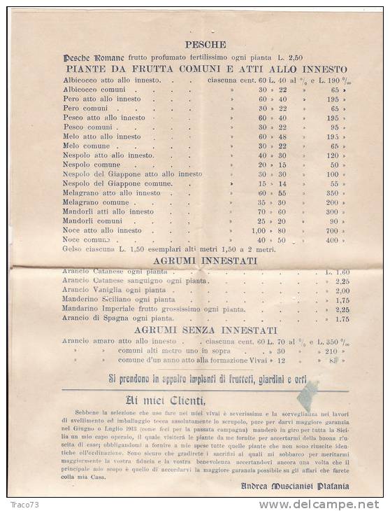 MILAZZO / CATANIA  17.2.1913 - Cover_ Lettera Pubbl. Con Listino " Andrea MUSCIANISI PLATANI - Olii_Vini -" - Cent. 2 - Publicité