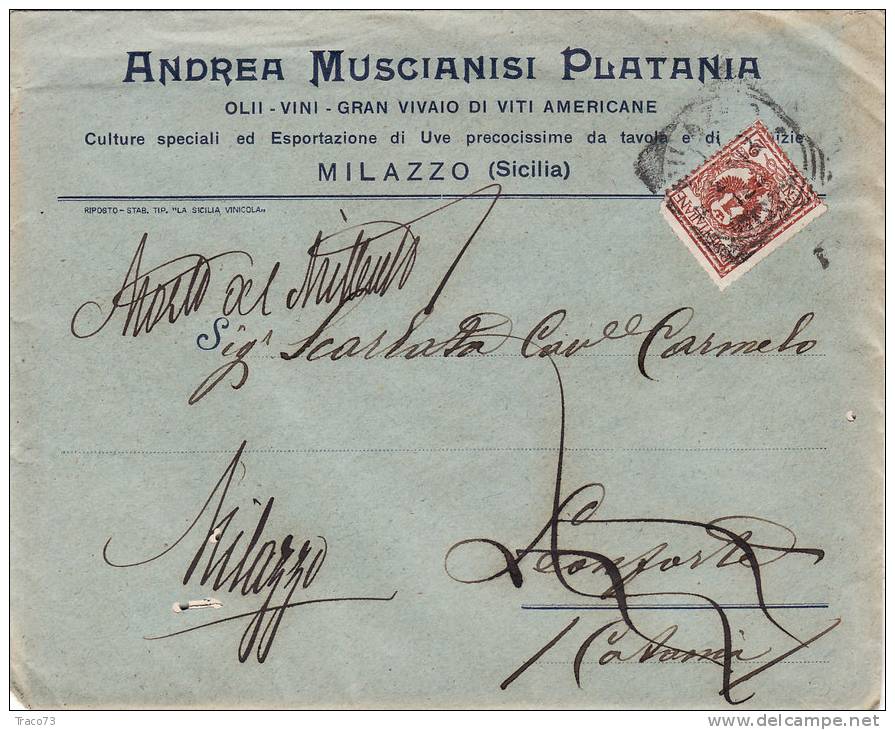 MILAZZO / CATANIA  17.2.1913 - Cover_ Lettera Pubbl. Con Listino " Andrea MUSCIANISI PLATANI - Olii_Vini -" - Cent. 2 - Publicité