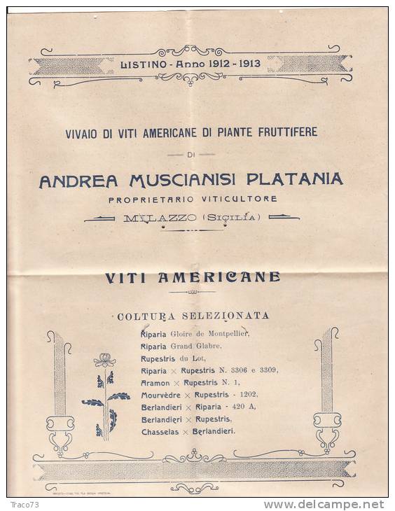 MILAZZO / CATANIA  17.2.1913 - Cover_ Lettera Pubbl. Con Listino " Andrea MUSCIANISI PLATANI - Olii_Vini -" - Cent. 2 - Reclame