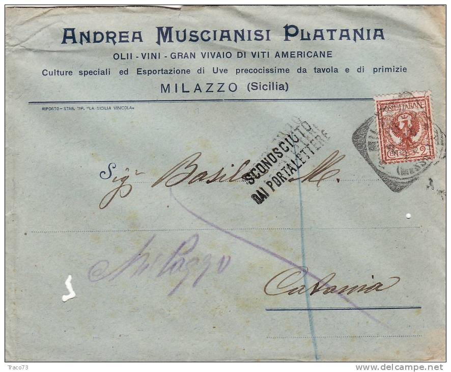 MILAZZO / CATANIA  18.2.1913 - Cover_ Lettera Pubbl. " Andrea MUSCIANISI PLATANI - Olii_Vini -" - Cent. 2 - Publicité
