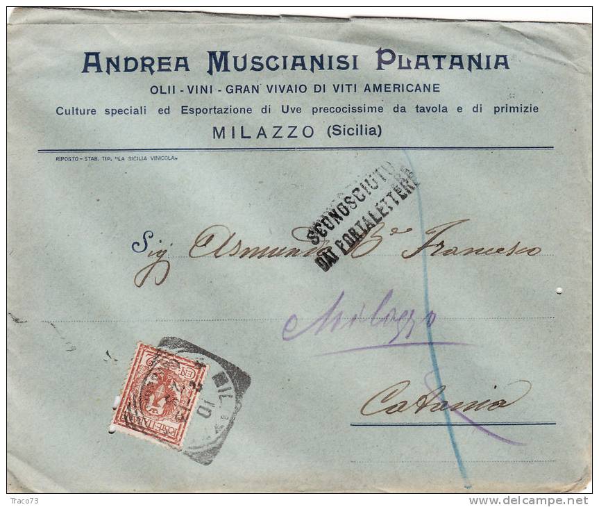 MILAZZO / CATANIA  10.2.1913 - Cover_ Lettera Pubbl. " Andrea MUSCIANISI PLATANI - Olii_Vini -" - Cent. 2 - Publicité