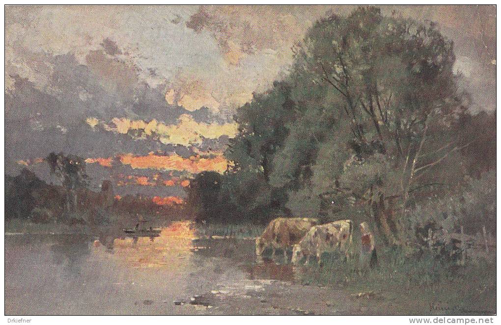 Kühe An Der Tränke Mit Kind, Flussufer Um 1910 - Other & Unclassified