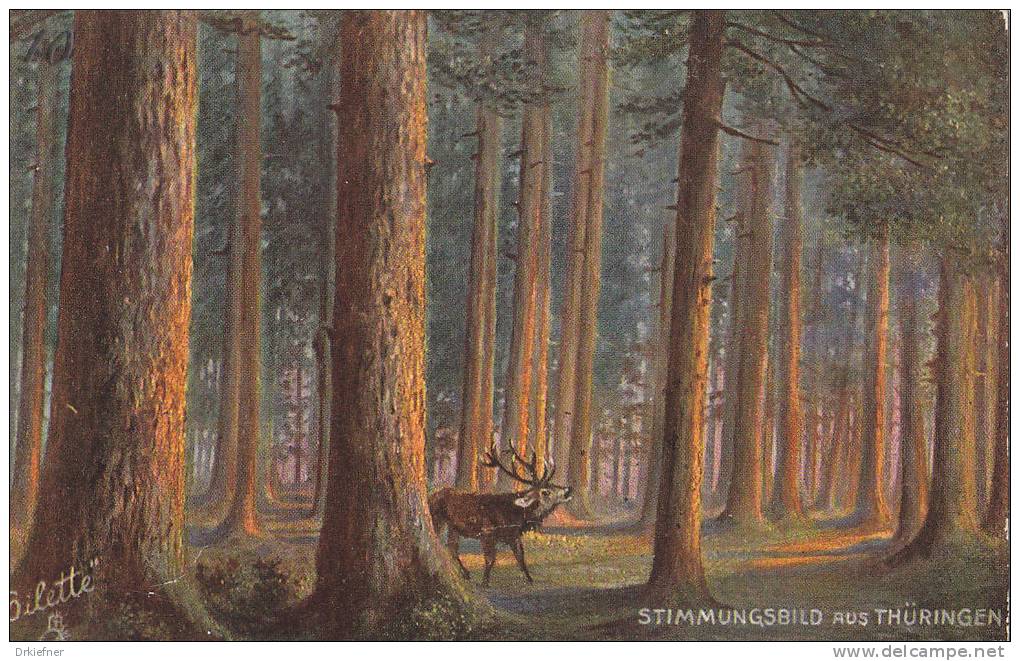 Stimmungsbild Im Thüringerwald, Friedrichroda, Am Reinhardsberg, Hirsch, Um 1910, Tuck´s Oilette 190 B - Friedrichroda