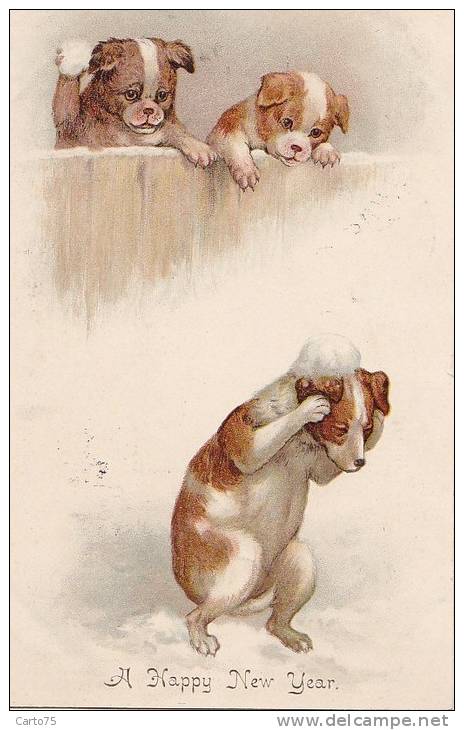 Animaux - Chiens -  Illustration - Bataille Boules De Neige - Chiens