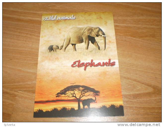 Elefant Elephant Elefant Postkarte Postcard - Elefantes