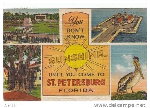 Petersburg FL Florida, Multi-view Pelican Pier C1940s Vintage Linen Postcard - St Petersburg